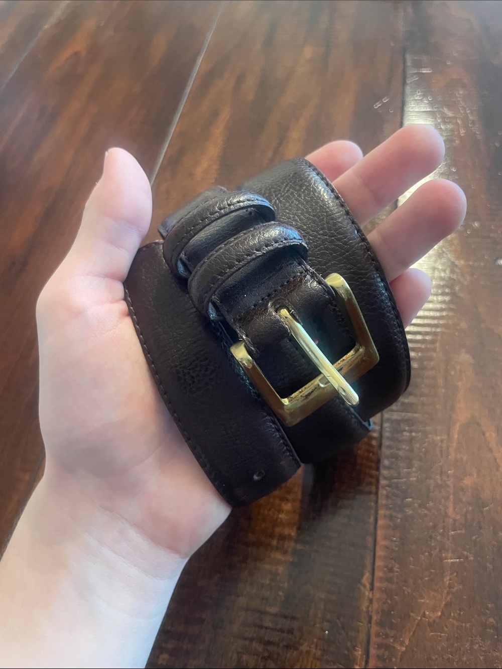 Pierre Cardin Dark Brown Leather Belt with Gold-Tone Buckle